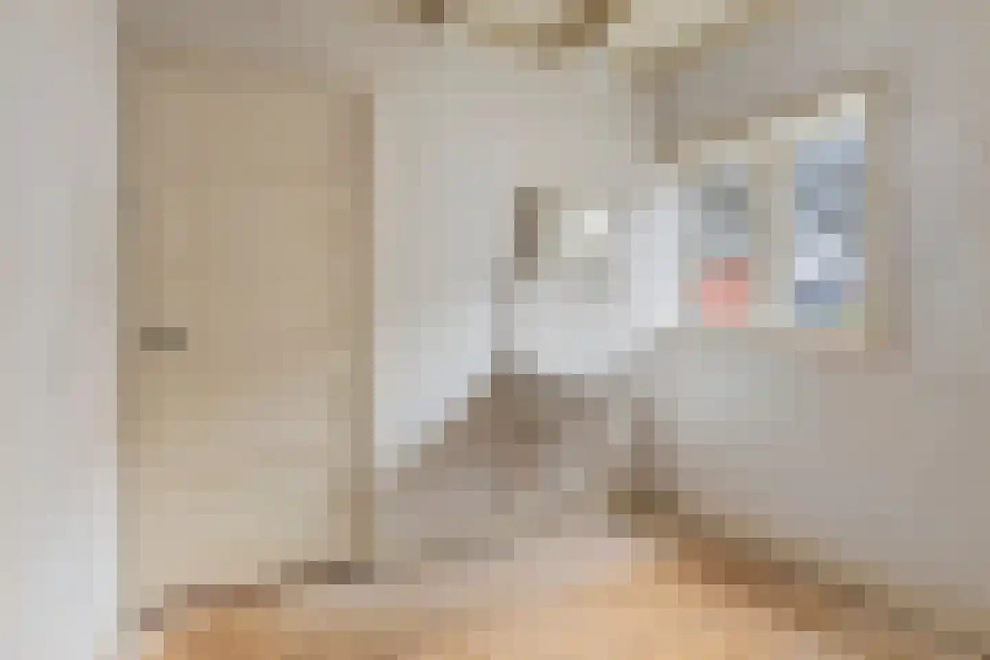 Lindenlaan 4 Bergen (NH) thumbnail 22