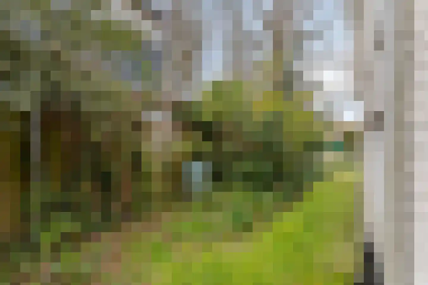 Lindenlaan 4 Bergen (NH) thumbnail 31