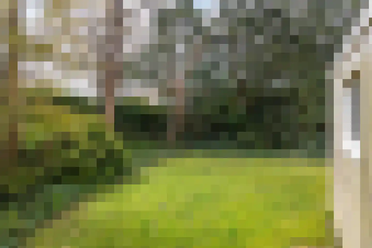 Lindenlaan 4 Bergen (NH) thumbnail 33
