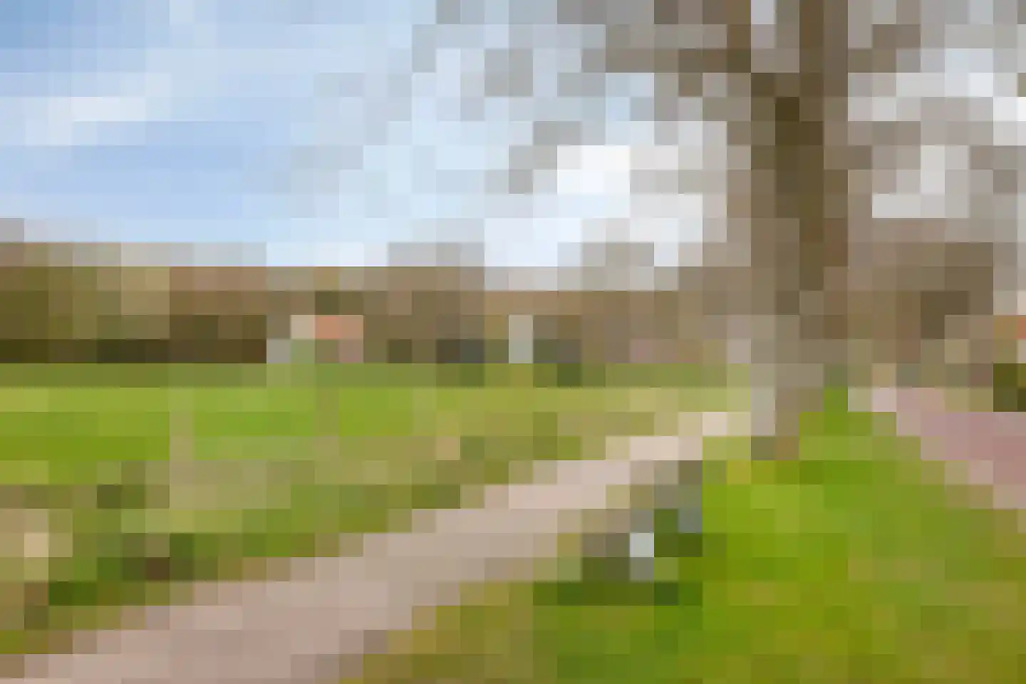 Lindenlaan 4 Bergen (NH) thumbnail 35