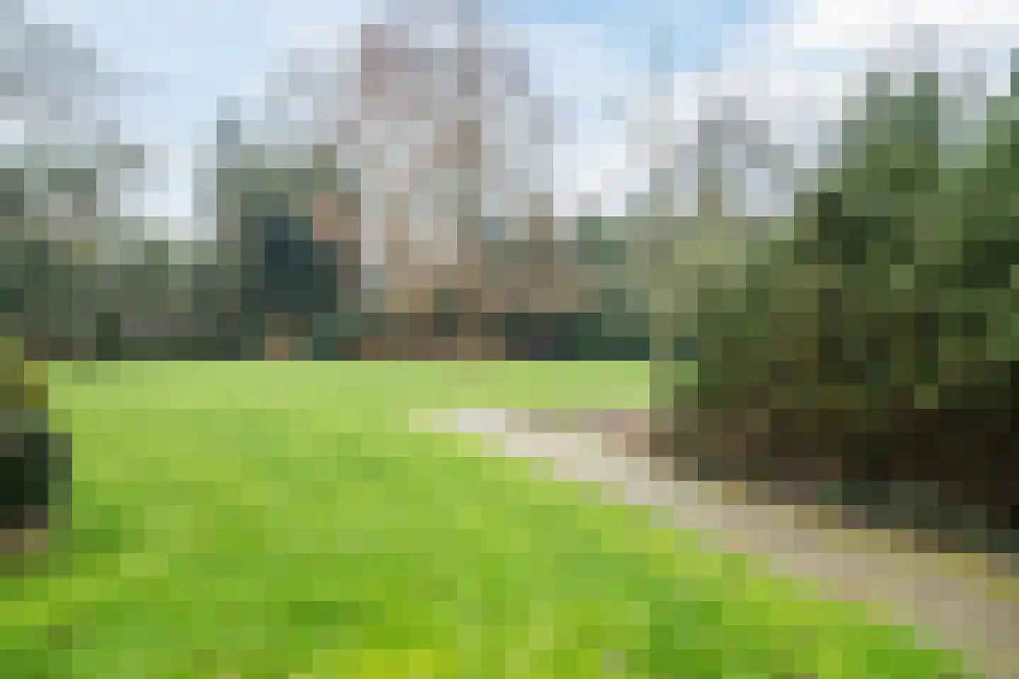 Lindenlaan 40 A Bergen (NH) thumbnail 23