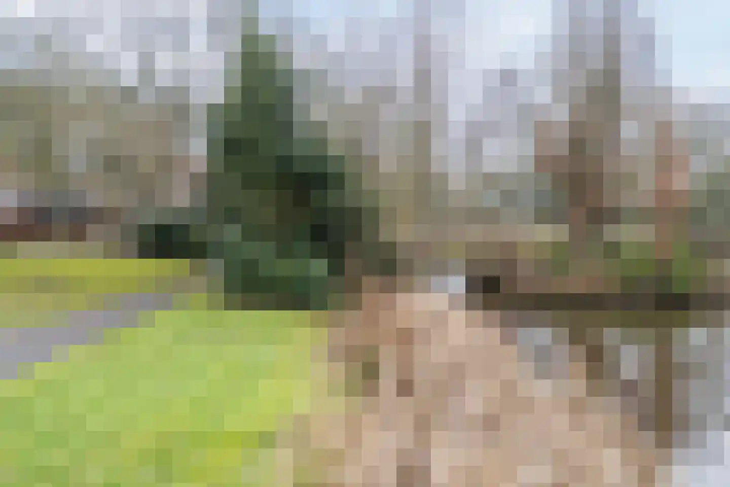 Lindenlaan 40 A Bergen (NH) thumbnail 25