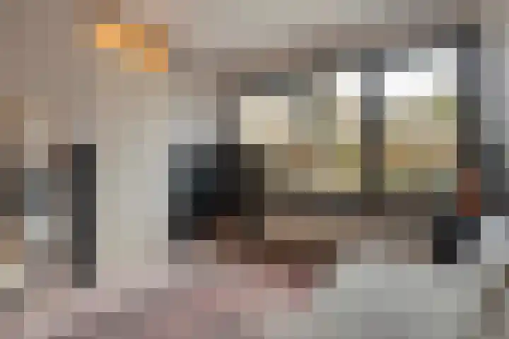 Lindenlaan 41 Ommen thumbnail 30
