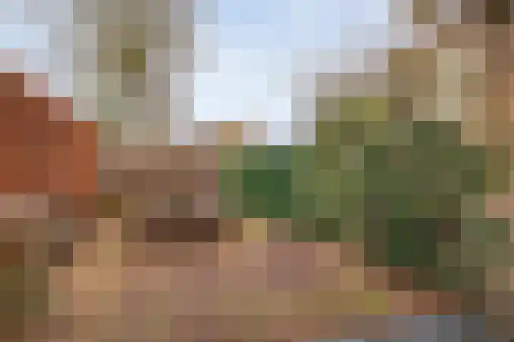 Lindenlaan 41 Ommen thumbnail 38