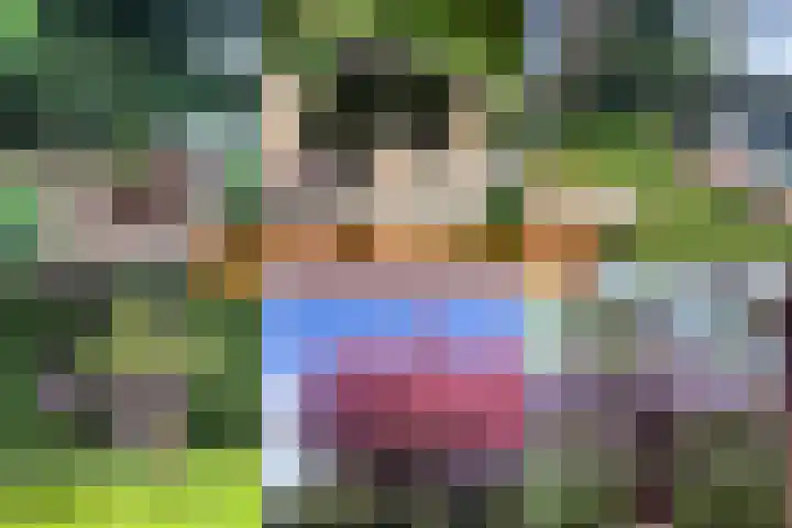 Lindenlaan 41 Ommen thumbnail 4