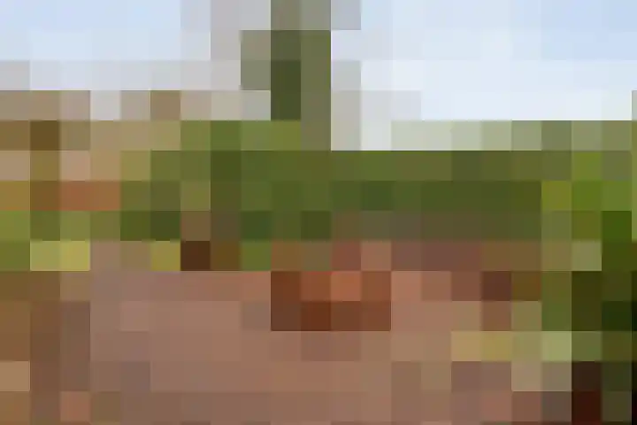 Lindenlaan 41 Ommen thumbnail 40