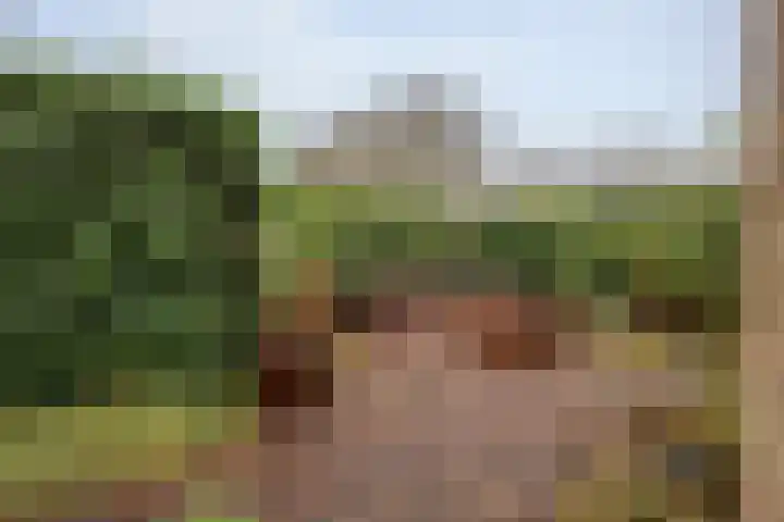 Lindenlaan 41 Ommen thumbnail 41