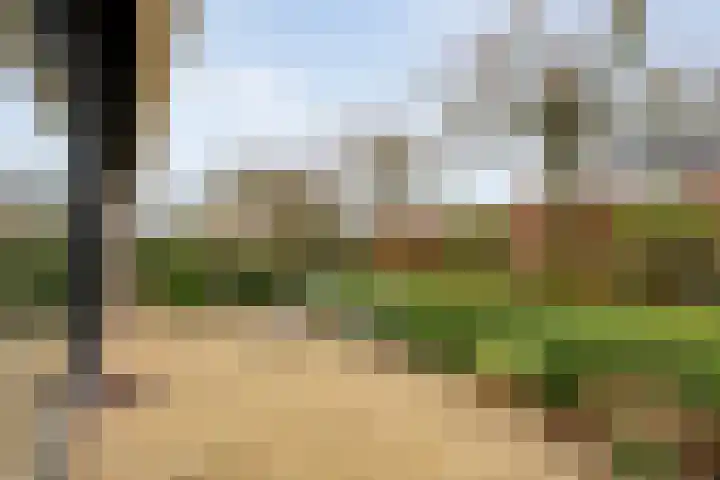 Lindenlaan 41 Ommen thumbnail 42