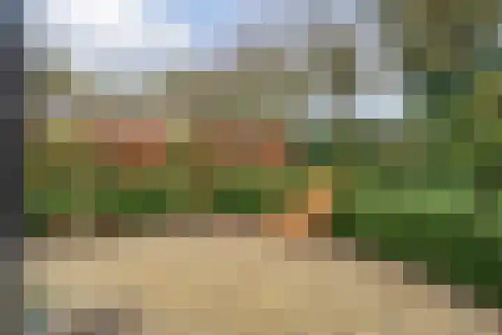 Lindenlaan 41 Ommen thumbnail 43