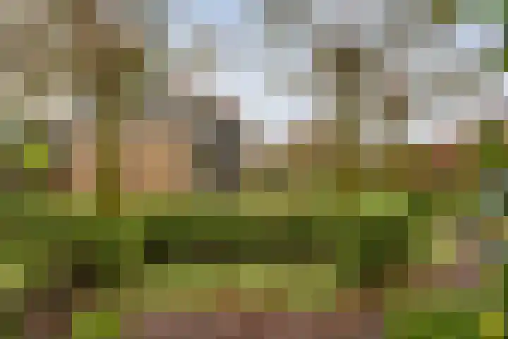 Lindenlaan 41 Ommen thumbnail 44