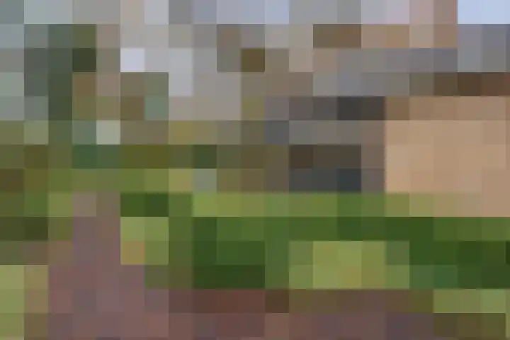 Lindenlaan 41 Ommen thumbnail 45