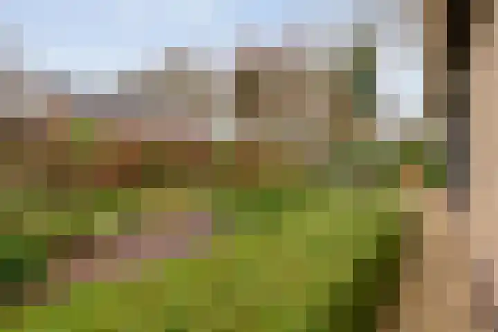 Lindenlaan 41 Ommen thumbnail 46