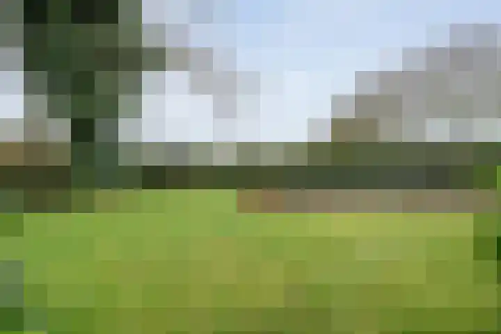 Lindenlaan 41 Ommen thumbnail 47