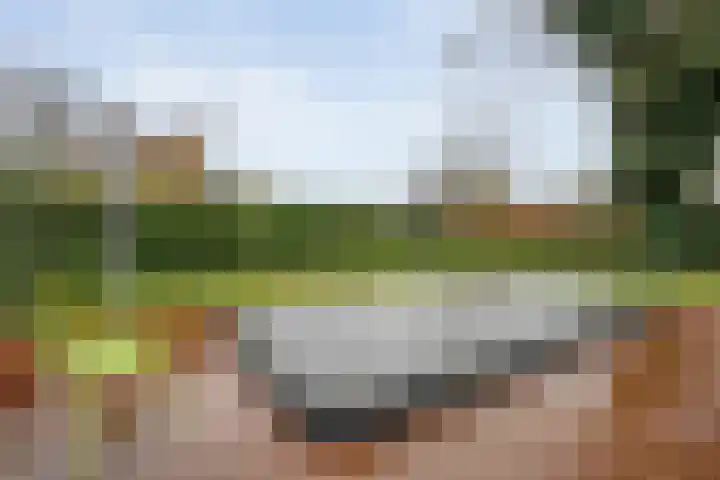 Lindenlaan 41 Ommen thumbnail 48