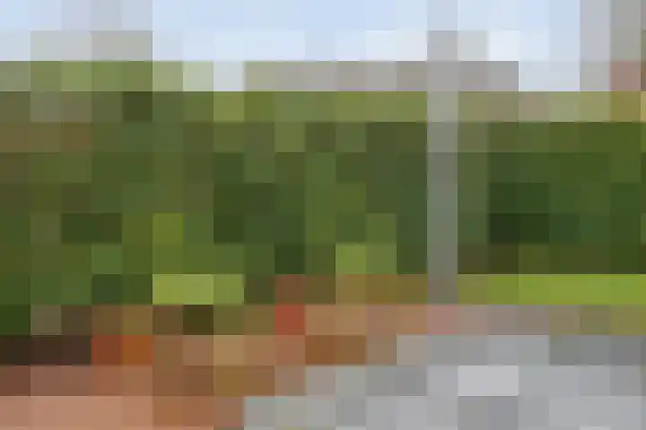 Lindenlaan 41 Ommen thumbnail 49