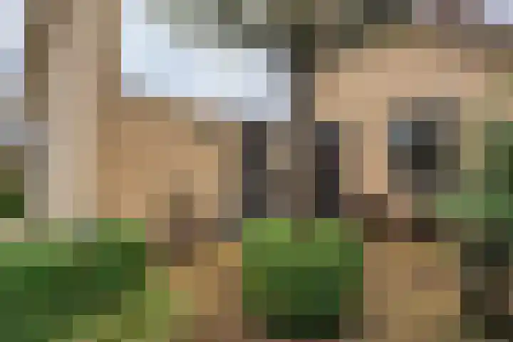 Lindenlaan 41 Ommen thumbnail 5