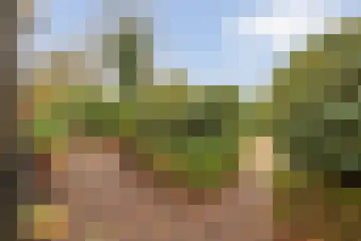 Lindenlaan 41 Ommen thumbnail 50