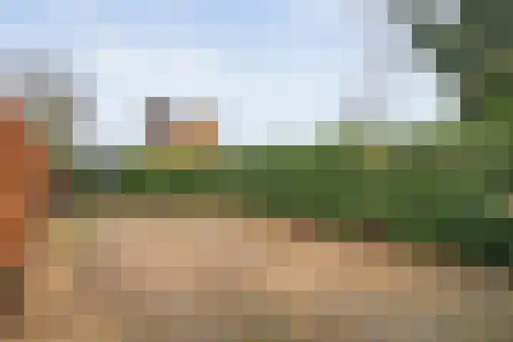 Lindenlaan 41 Ommen thumbnail 51