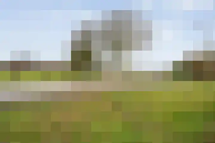 Lindenlaan 41 Ommen thumbnail 53