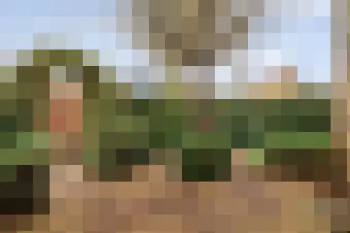 Lindenlaan 41 Ommen thumbnail 6