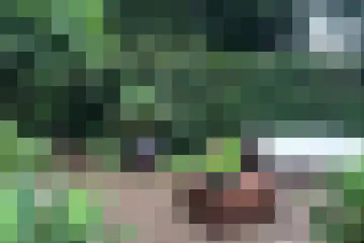 Lindenlaan 41 Ommen thumbnail 61