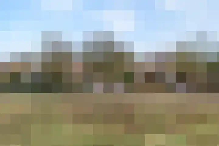 Lindenlaan 41 Ommen thumbnail 63