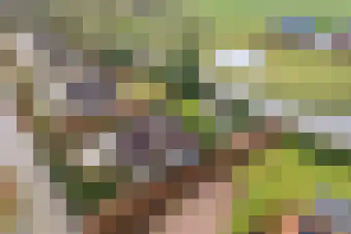 Lindenlaan 41 Ommen thumbnail 64