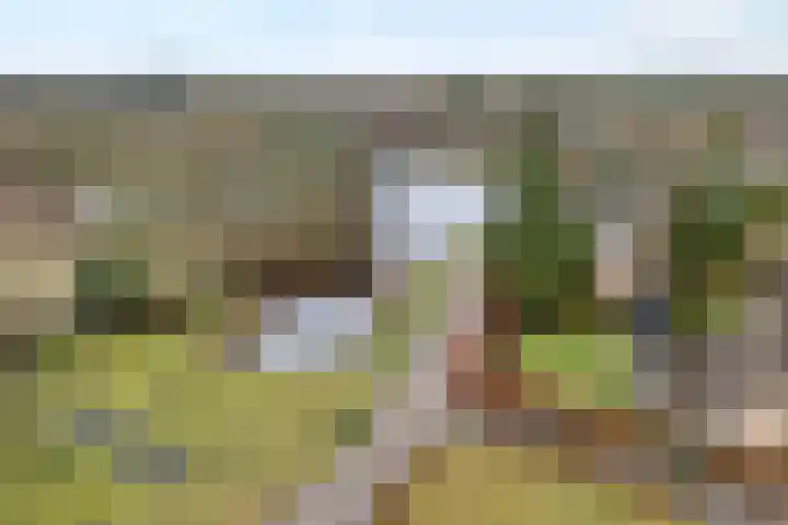 Lindenlaan 41 Ommen thumbnail 65