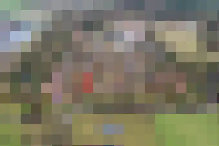 Lindenlaan 41 Ommen thumbnail 66