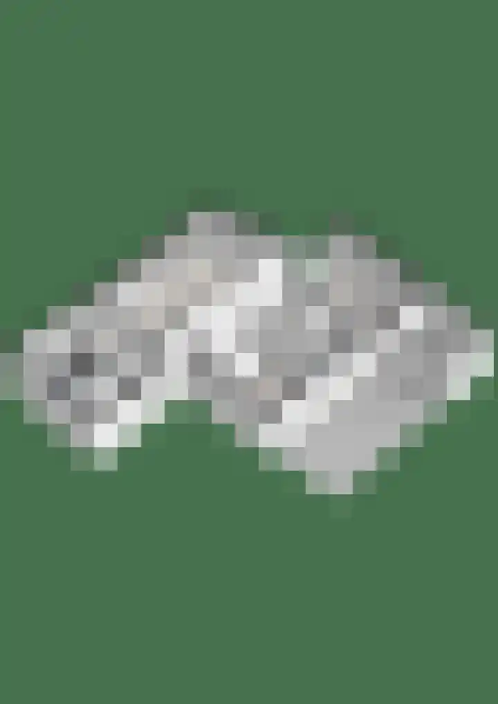 Lindenlaan 41 Ommen thumbnail 69