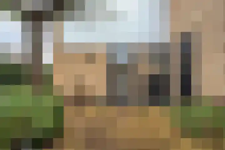 Lindenlaan 41 Ommen thumbnail 9
