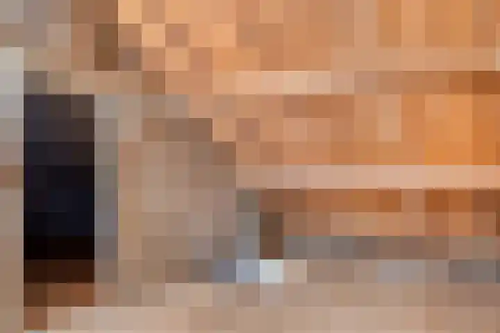 Lindenlaan 41 Vinkel thumbnail 25