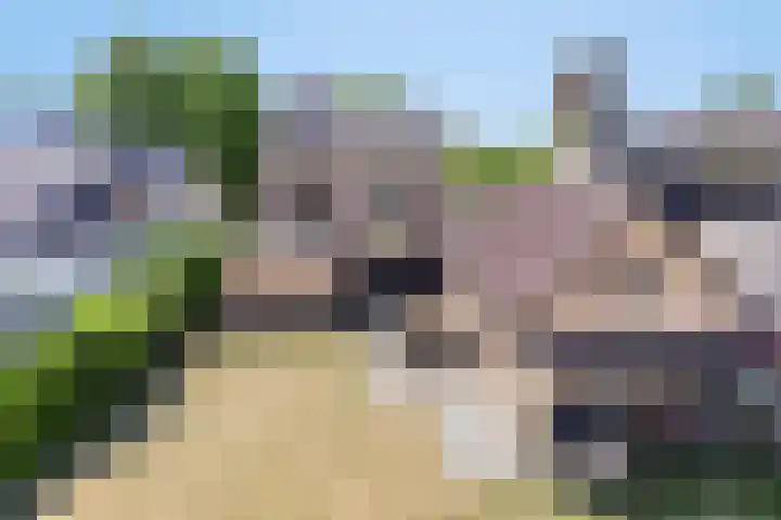 Lindenlaan 41 Vinkel thumbnail 36