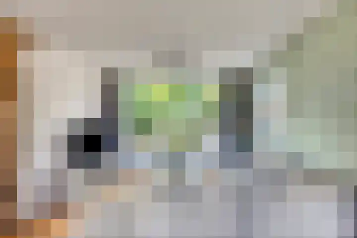 Lindenlaan 41 Vinkel thumbnail 4