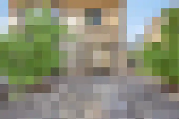 Lindenlaan 41 Vinkel thumbnail 40