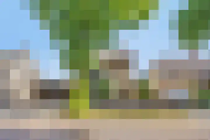 Lindenlaan 41 Vinkel thumbnail 44