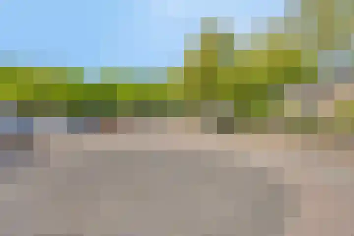 Lindenlaan 41 Vinkel thumbnail 48