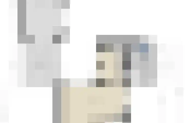 Lindenlaan 41 Vinkel thumbnail 51