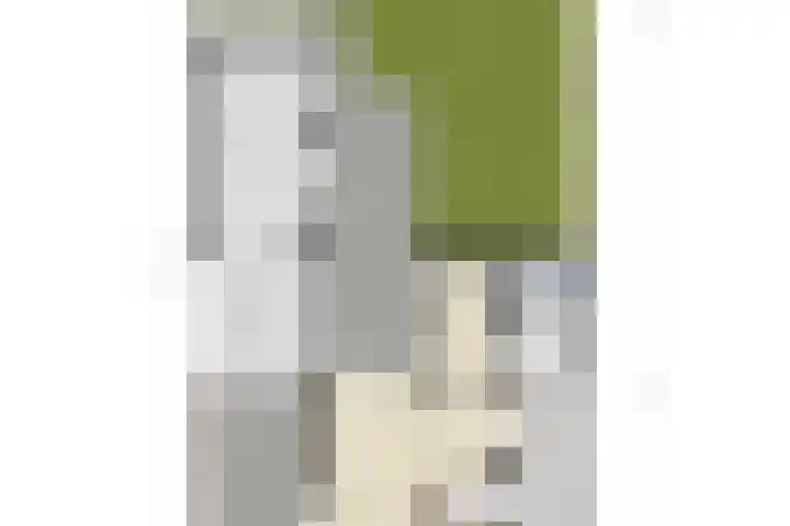 Lindenlaan 41 Vinkel thumbnail 52