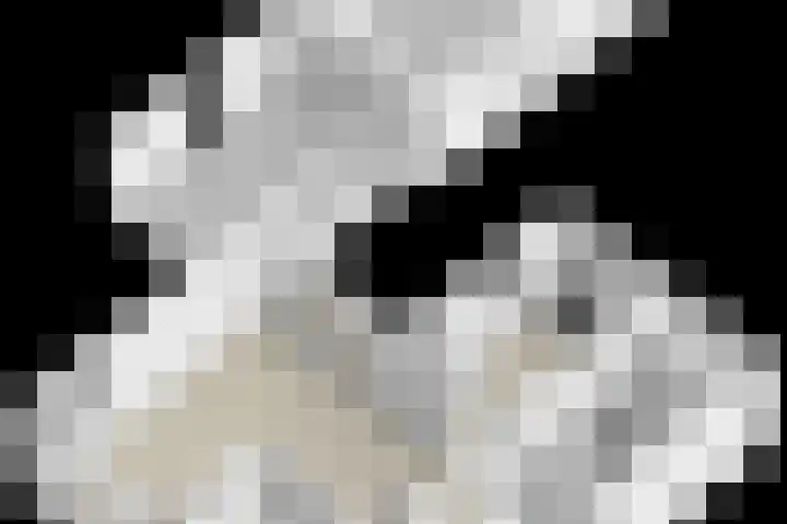 Lindenlaan 41 Vinkel thumbnail 55
