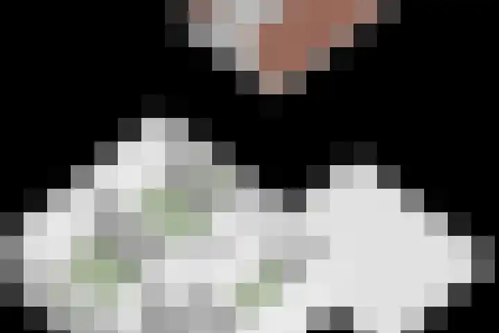 Lindenlaan 41 Vinkel thumbnail 56