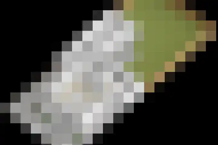 Lindenlaan 41 Vinkel thumbnail 57