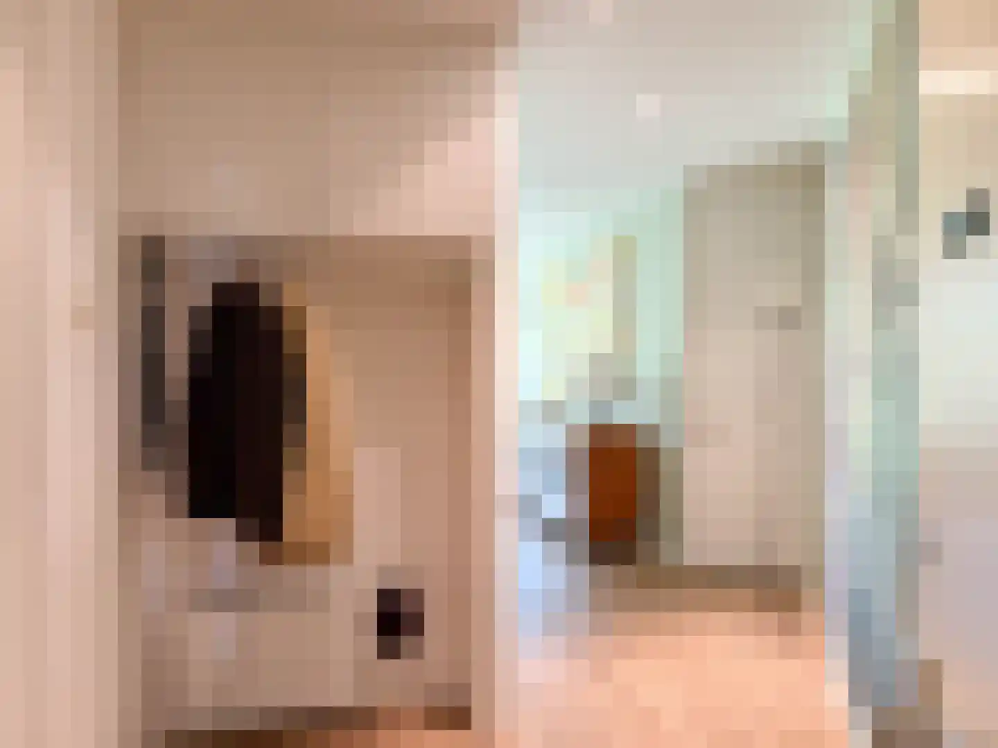 Lindenlaan 42 Bergen (NH) thumbnail 17