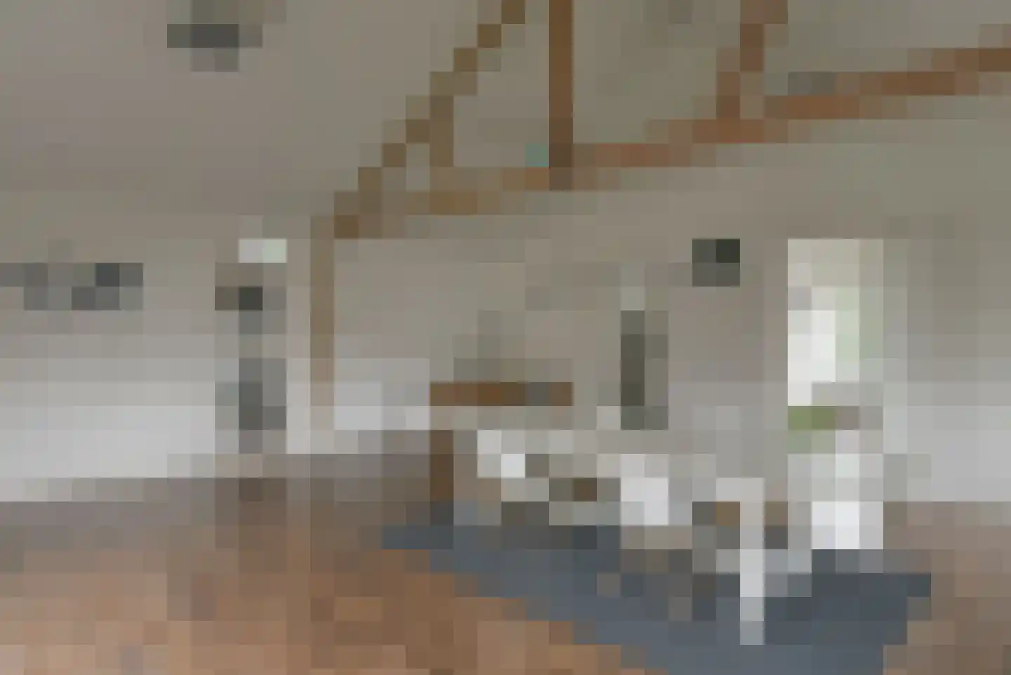 Lindenlaan 42 Huizen thumbnail 11