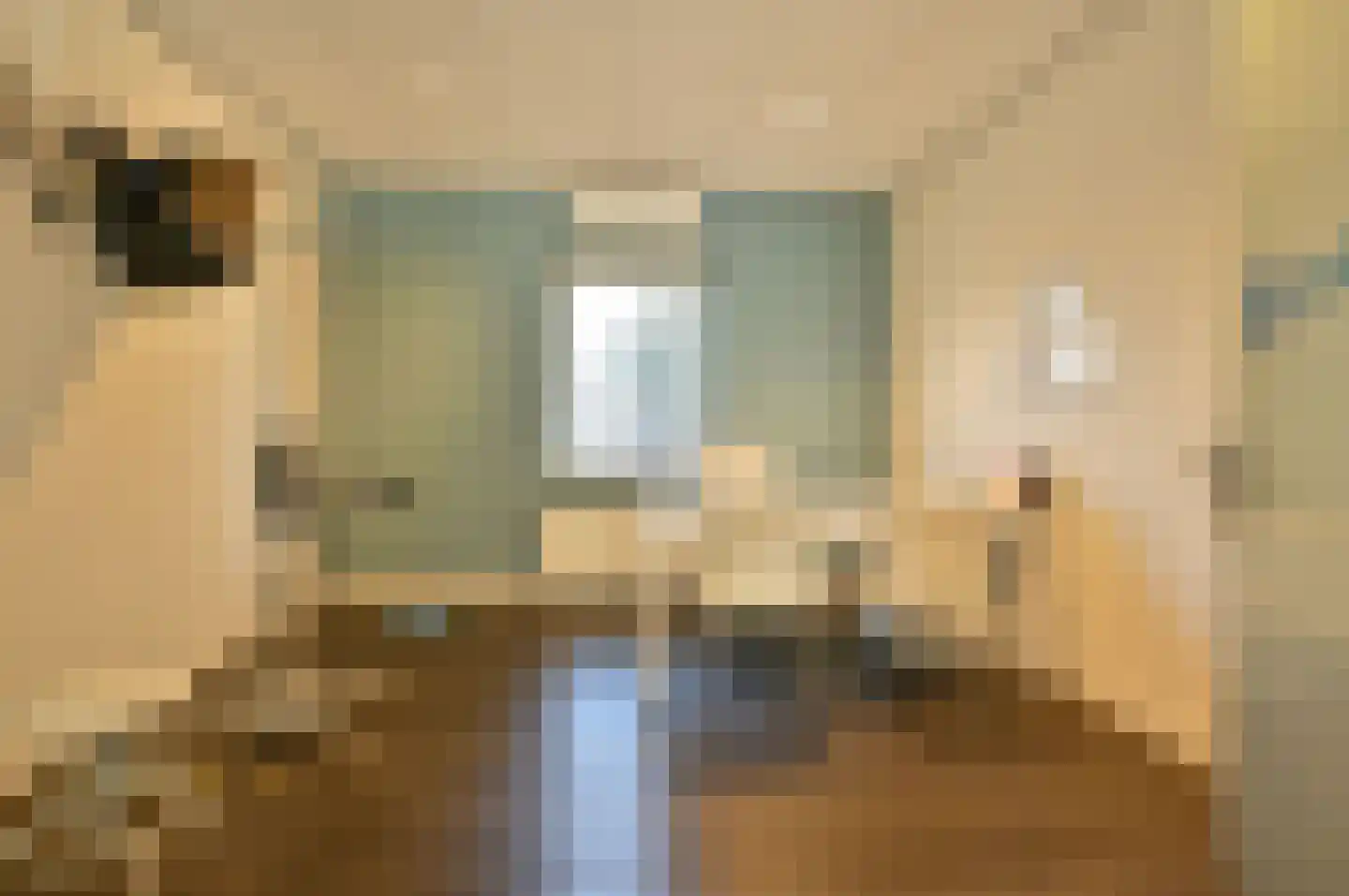Lindenlaan 42 Huizen thumbnail 6
