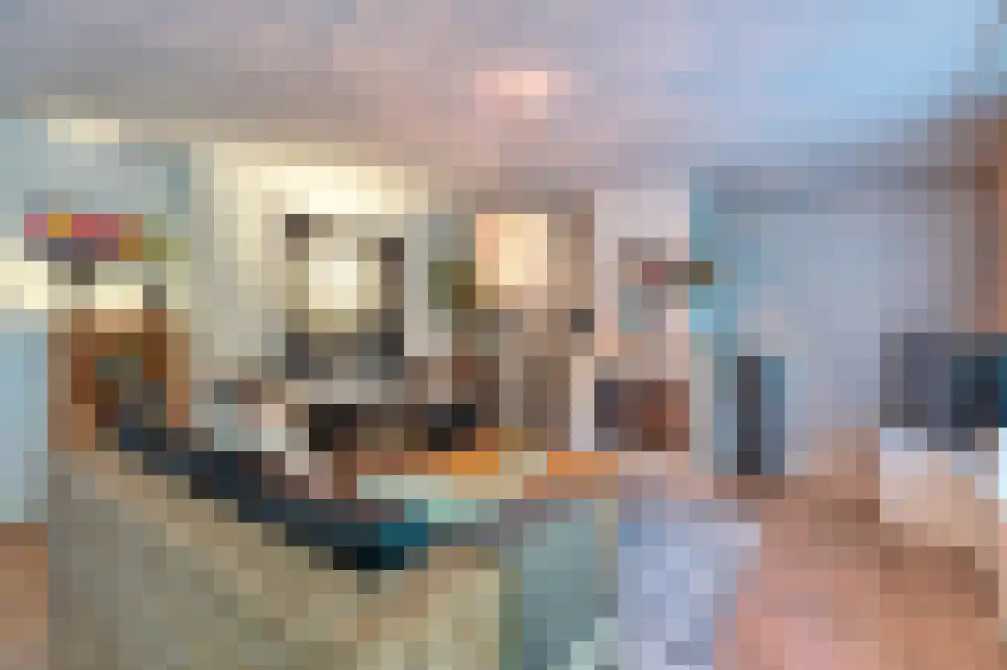Lindenlaan 46 Heerhugowaard thumbnail 12