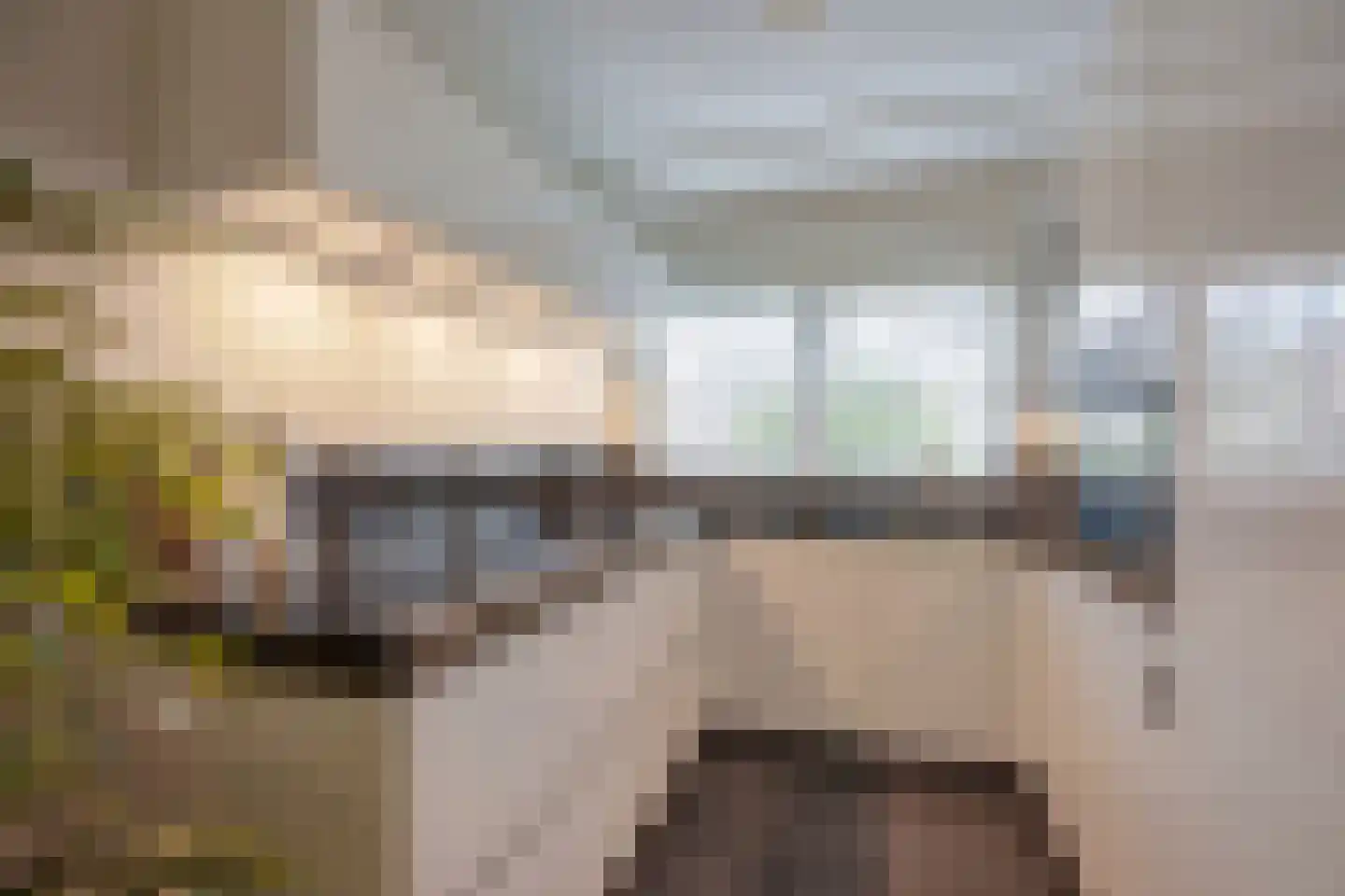Lindenlaan 46 Heerhugowaard thumbnail 18