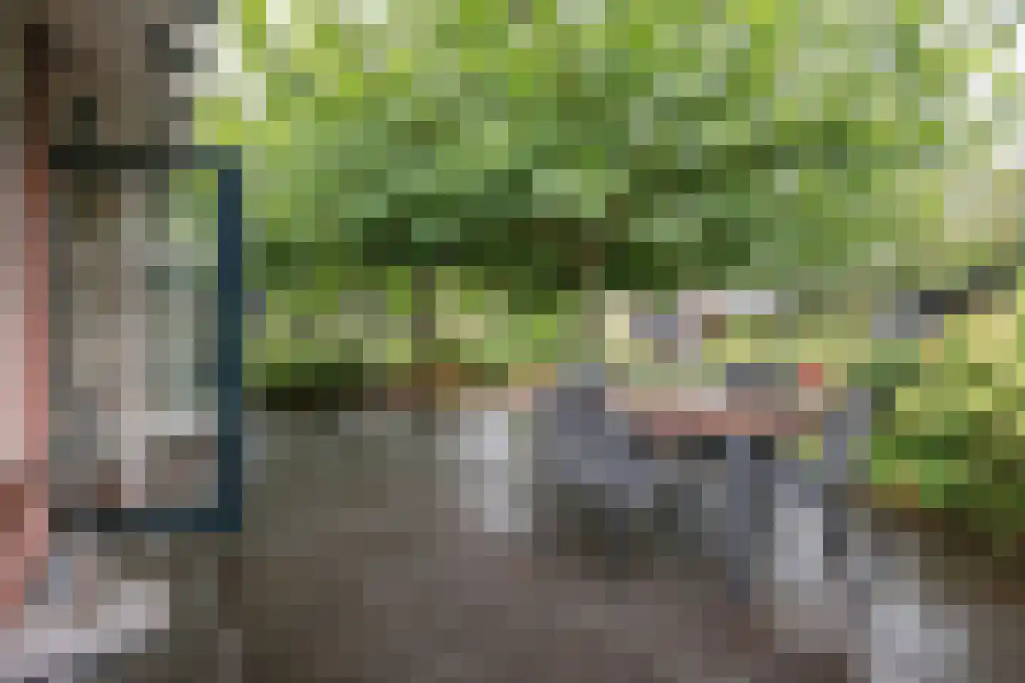 Lindenlaan 46 Heerhugowaard thumbnail 25