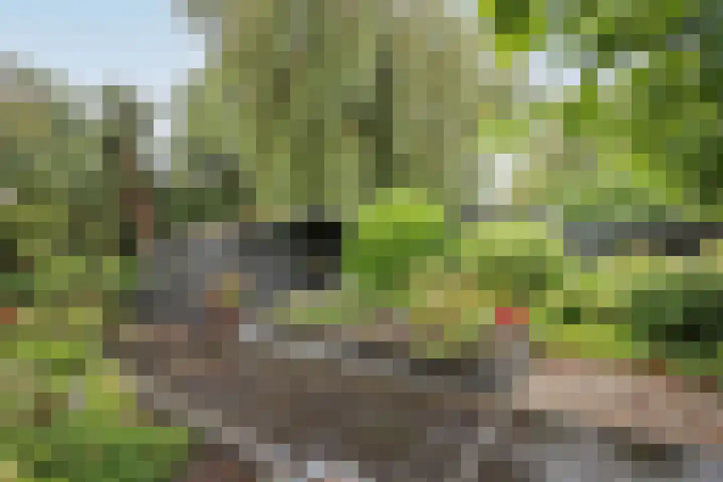 Lindenlaan 46 Heerhugowaard thumbnail 27