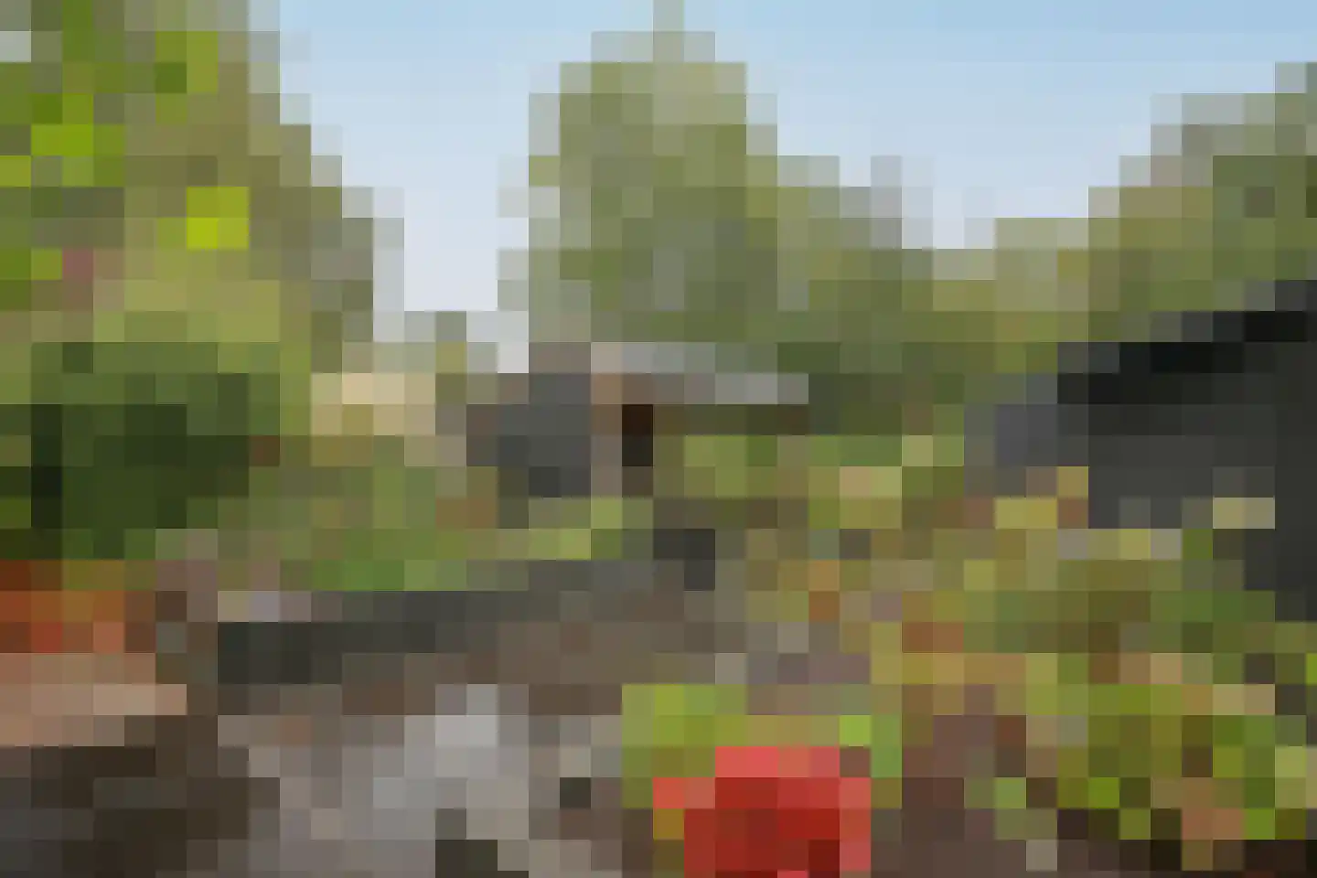 Lindenlaan 46 Heerhugowaard thumbnail 28